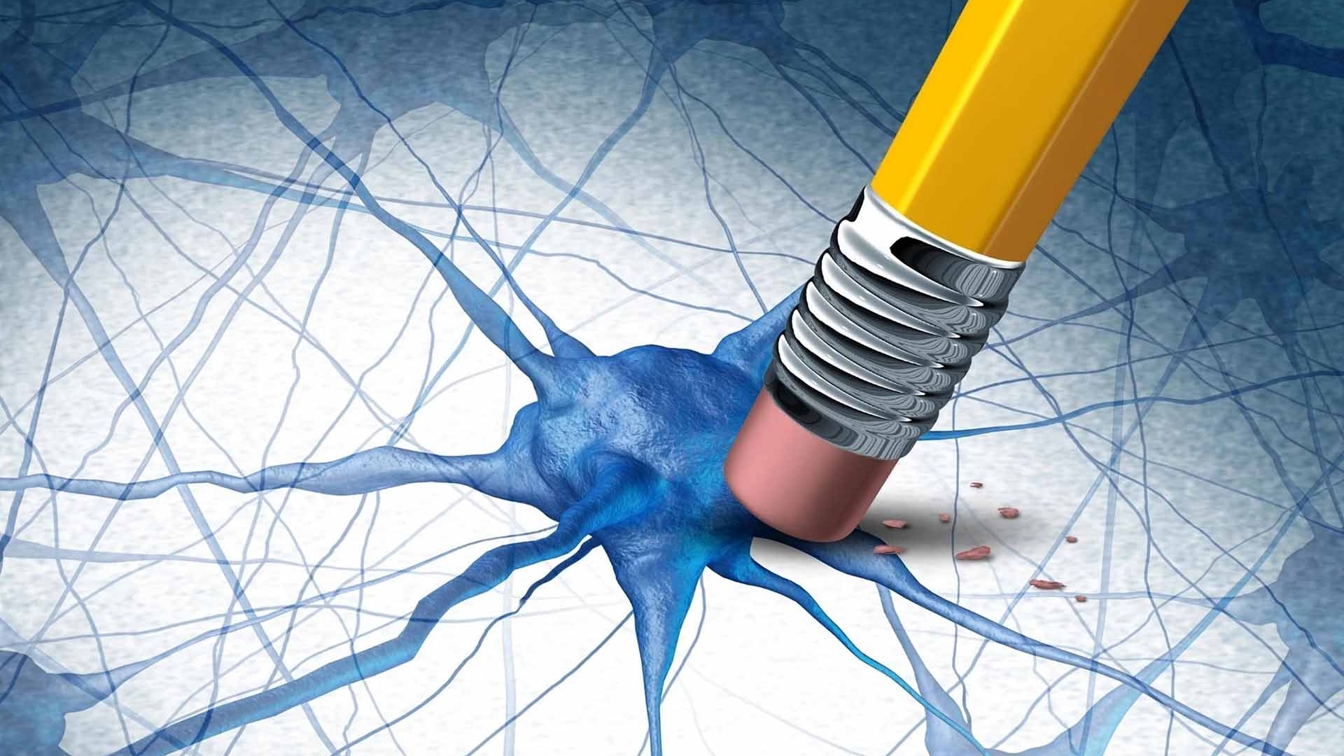 Hai hợp chất tự nhiên mở hướng mới điều trị Alzheimer