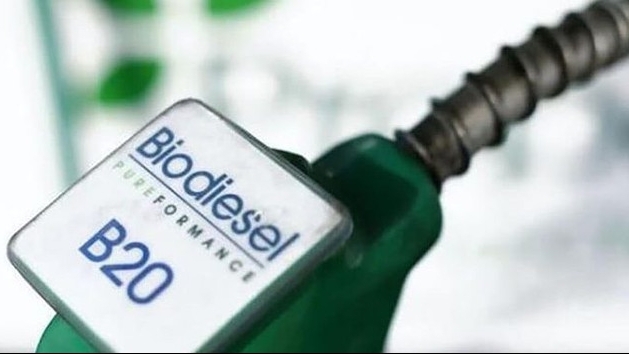 WTO ra phán quyết có lợi, Indonesia muốn EU làm điều này ngay lập tức