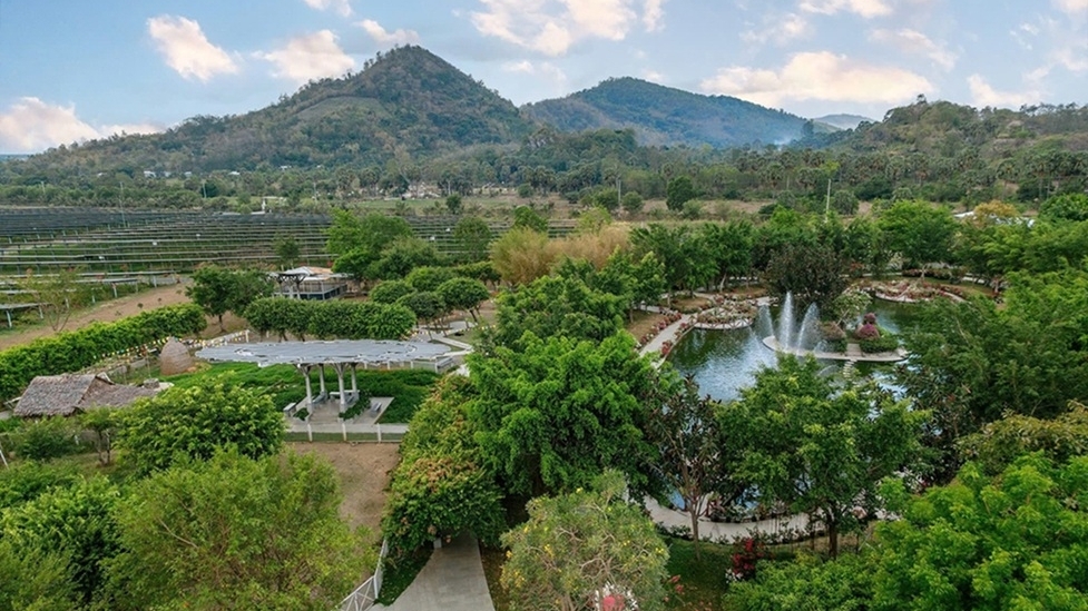 Khám phá 'Đất kép' - An Hảo Solar Farm