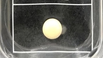 Nhật Bản phát triển thuốc có thể loại bỏ cơn đau, không gây tác dụng phụ nghiêm trọng