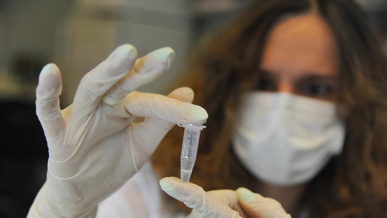 Nga ghi nhận ca sốt chikungunya nhập cảnh đầu tiên