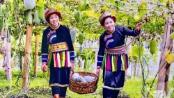 Thái Nguyên nâng tầm thương hiệu nông sản