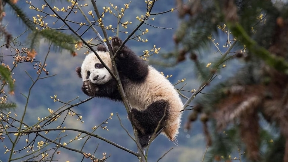 12 công viên quốc gia hấp dẫn bậc nhất Trung Quốc theo gợi ý của Lonely Planet