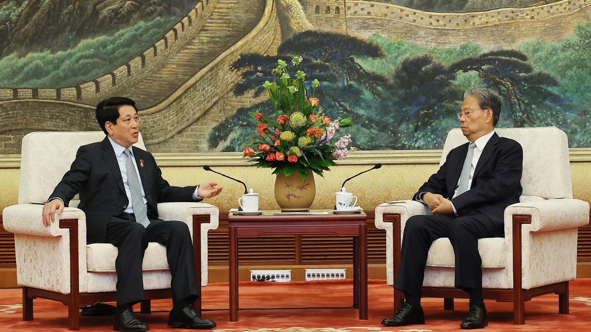 Chủ tịch nước Lương Cường hội kiến Ủy viên trưởng Nhân đại toàn quốc Trung Quốc Triệu Lạc Tế