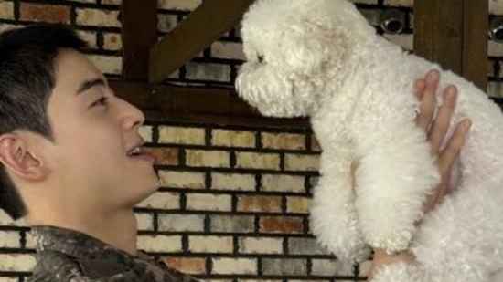 K-pop: Cha Eun-woo khiến fan tan chảy với khoảnh khắc hội ngộ cùng chú chó cưng