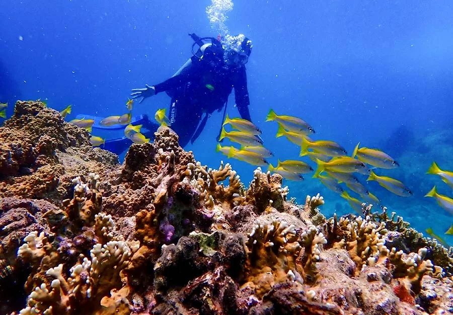 Việt Nam – thiên đường phiêu lưu mạo hiểm cho du khách quốc tế Việt Nam – thiên đường phiêu lưu mạo hiểm cho du khách quốc tế