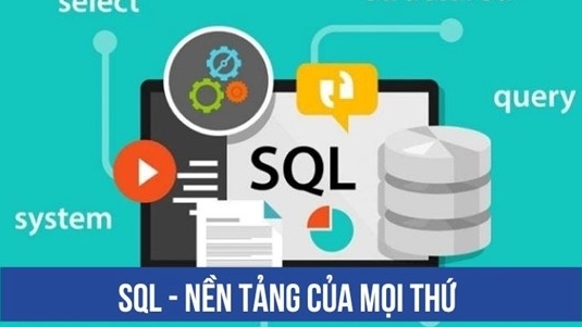SQL, Python, Tableau: 'Bộ tam quyền lực' về kỹ năng dữ liệu giúp người Việt cạnh tranh toàn cầu
