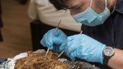 Phát hiện khảo cổ học: Bộ xương 'Chiến binh Tràng An' có niên đại khoảng 12.000 năm tuổi