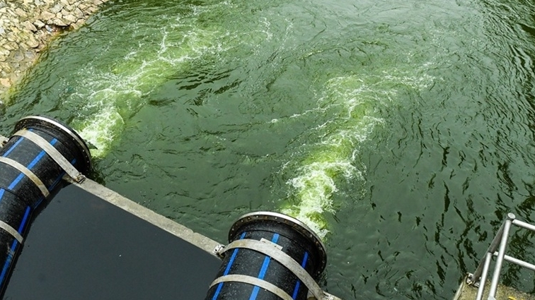 Nước trong xanh trở lại, kỳ vọng sông Tô Lịch hồi sinh hiệu quả