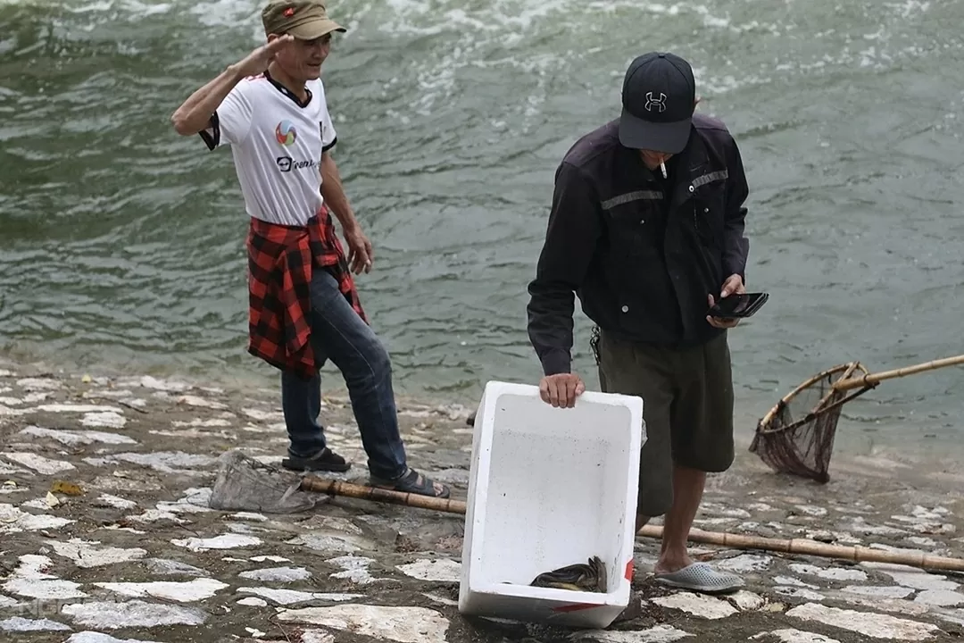 Sông Tô Lịch trong xanh trở lại Sông Tô Lịch trong xanh trở lại