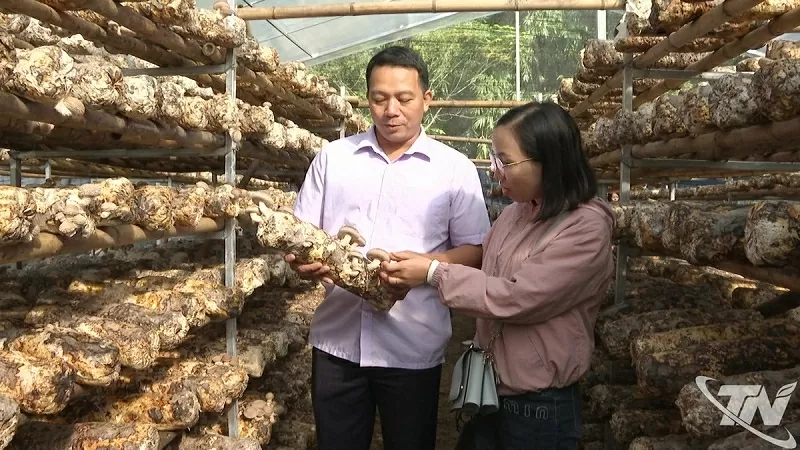 OCOP - Nâng tầm nông sản Thái Nguyên OCOP - Nâng tầm nông sản Thái Nguyên