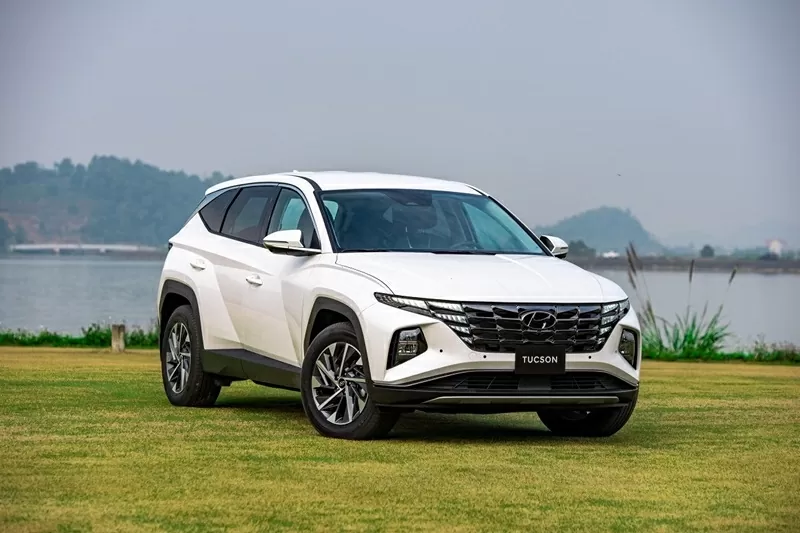 Doanh số xe Hyundai tháng 8/2025: Hyundai Tucson dẫn đầu thương hiệu. Doanh số xe Hyundai tháng 8/2025: Hyundai Tucson dẫn đầu thương hiệu.