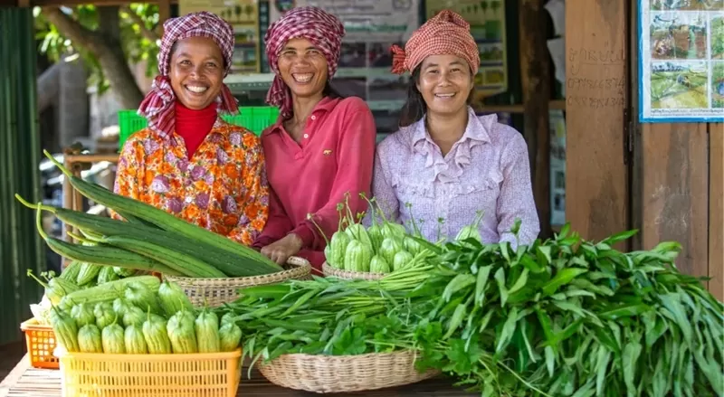 80 năm thành lập Liên hợp quốc 80 năm thành lập Liên hợp quốc