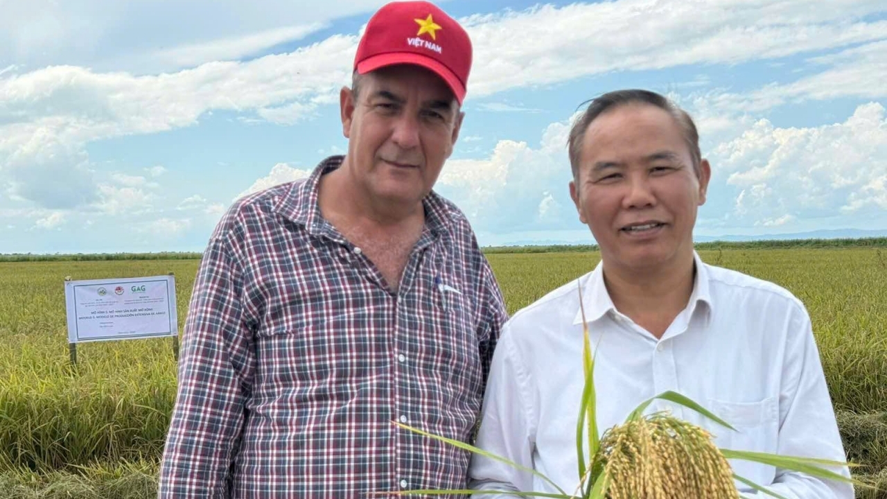 Hợp tác nông nghiệp Việt Nam-Cuba mở rộng từ lúa gạo sang chăn nuôi, thủy sản và công nghệ sinh học