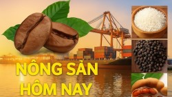 Giá nông sản hôm nay 9/12/2025: Giá cà phê vào 'giai đoạn nhạy cảm', Giá tiêu tăng; DN xuất khẩu nông, thủy sản sẽ không phải nộp thuế VAT 5%?