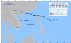 Dự báo tác động của áp thấp nhiệt đới: Bắc Bộ, Thanh Hoá, Nghệ An mưa to đến rất to, khả năng gây ra ngập úng vùng trũng, thấp, lũ quét sông, suối nhỏ