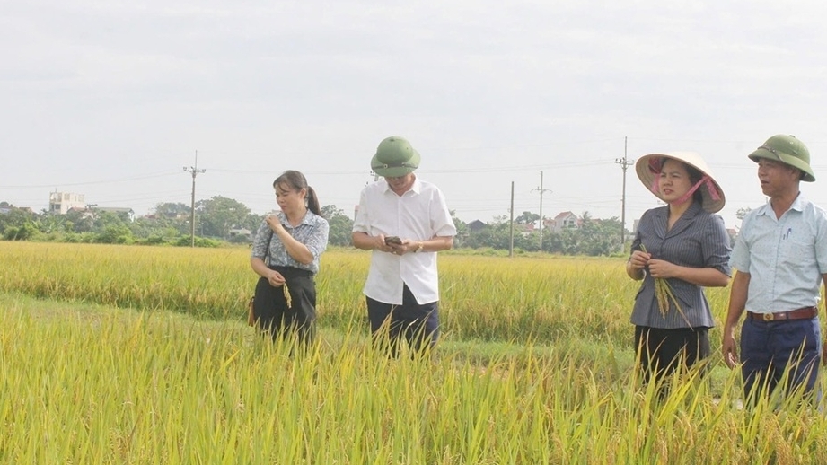 TP. Hà Nội triển khai công tác phòng chống, hạn chế tối đa thiệt hại trong và sau bão số 9