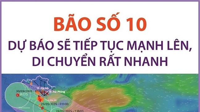 Bão số 10 dự báo mạnh lên, di chuyển rất nhanh
