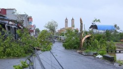 Bão số 10: Giông lốc mạnh gây thiệt hại nặng nề về người và tài sản tại tỉnh Ninh Bình