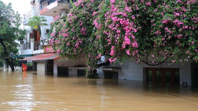 Tỉnh Lào Cai:  Mưa to diện rộng kéo dài gây ngập lụt, ảnh hưởng lớn đến đời sống sinh hoạt