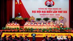 Khai mạc Đại hội đại biểu Đảng bộ tỉnh Nghệ An lần thứ XX, nhiệm kỳ 2025-2030
