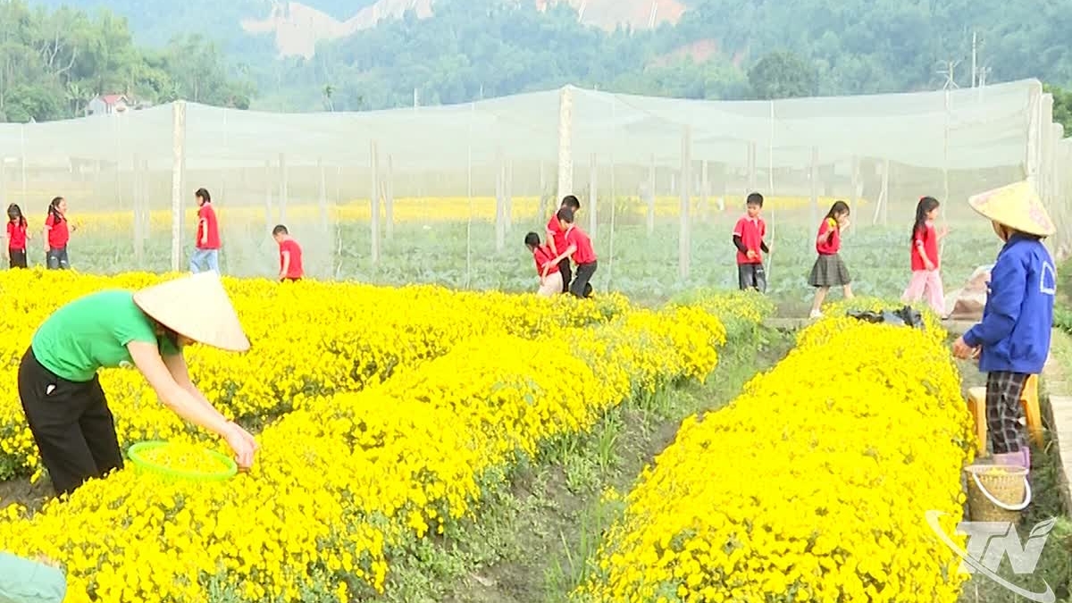 Hướng mở cho du lịch trải nghiệm nông nghiệp ở Thái Nguyên