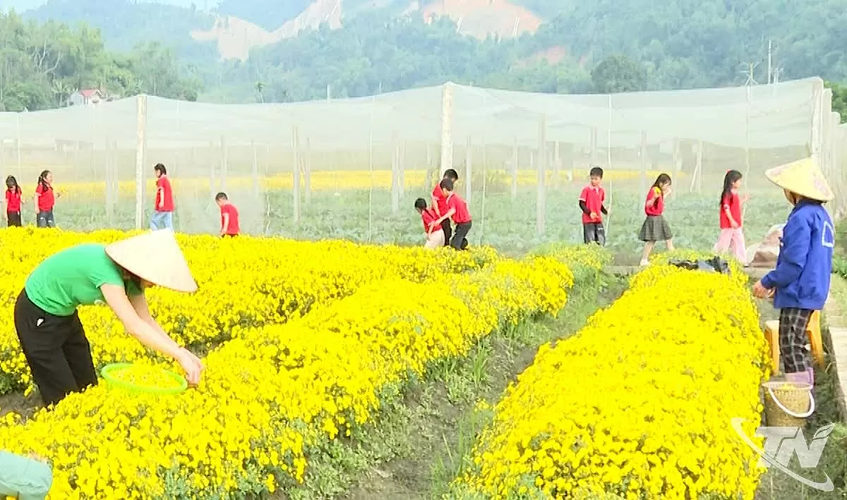 Hướng mở cho du lịch trải nghiệm nông nghiệp ở Thái Nguyên Hướng mở cho du lịch trải nghiệm nông nghiệp ở Thái Nguyên