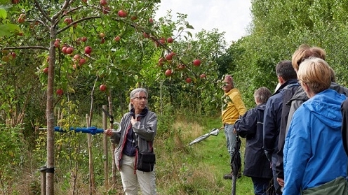 Vườn-rừng đang nổi lên như một mô hình canh tác bền vững