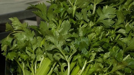 Bổ sung 3 loại rau giàu chất xơ giúp đường ruột khỏe mạnh, cơ thể nhẹ nhàng