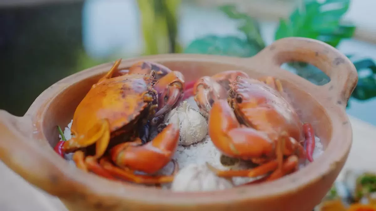 (Nguồn: VTV) (Nguồn: VTV)