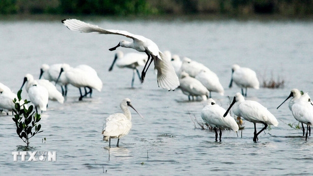 Khám phá ba công viên Di sản ASEAN mới của Việt Nam