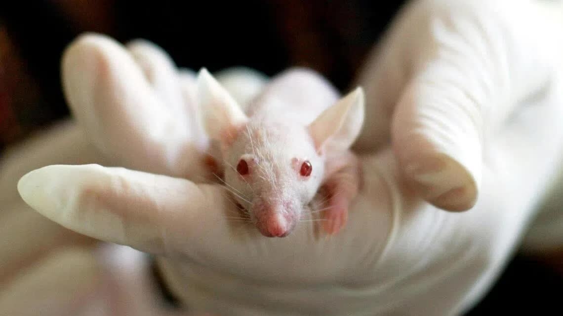 Virus Covid-19 có thể ảnh hưởng tới các thế hệ sau