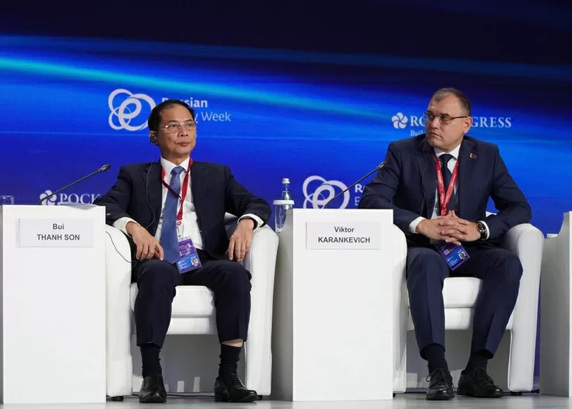 Phó Thủ tướng Bùi Thanh Sơn (Nguồn: TTXVN) Phó Thủ tướng Bùi Thanh Sơn (Nguồn: TTXVN)