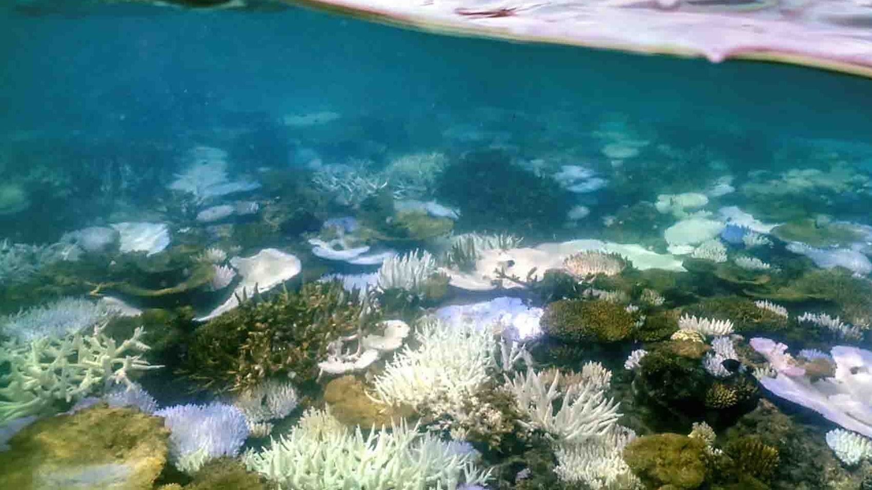 ‘Điểm tới hạn thảm khốc’ đầu tiên