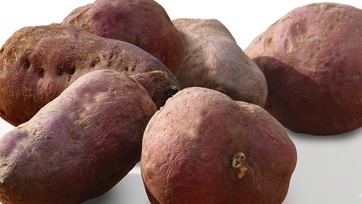 5 lý do giúp  khoai lang trở thành siêu thực phẩm