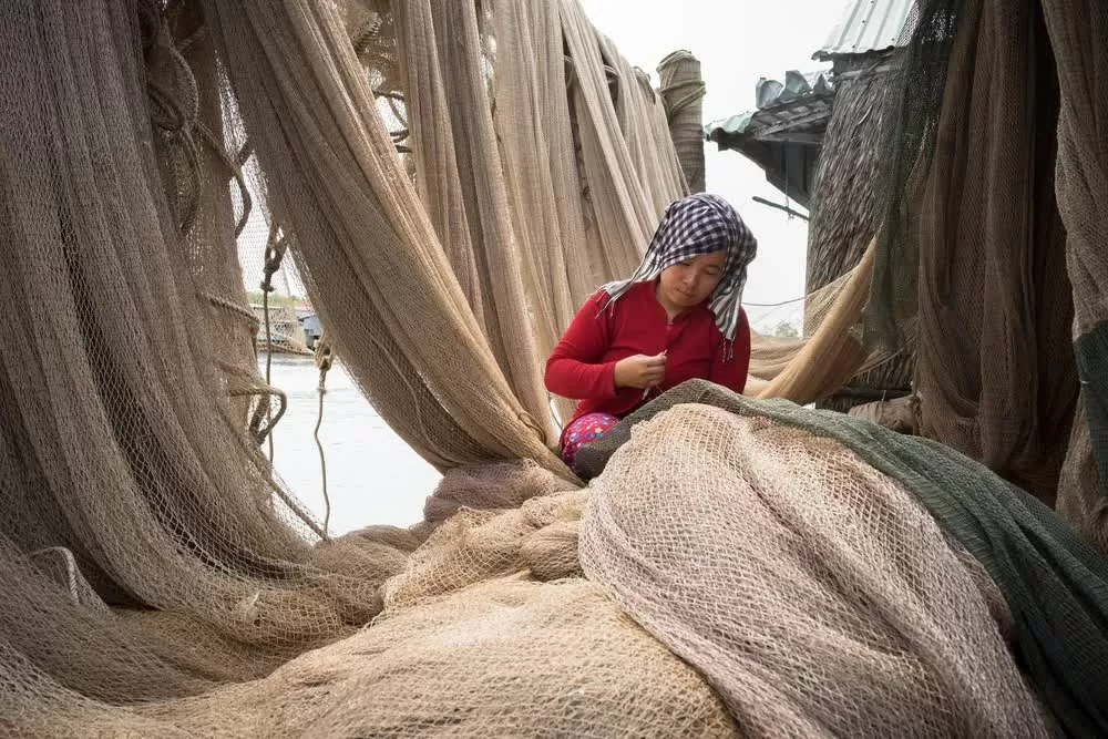 (Nguồn: Shutterstock) (Nguồn: Shutterstock)