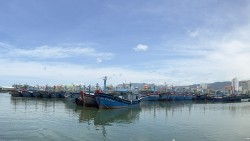 Cà Mau quyết liệt xử lý dứt điểm vi phạm, hướng tới gỡ 'thẻ vàng' IUU