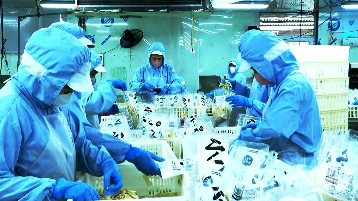 Khẳng định vị thế sản phẩm công nghiệp nông thôn Thái Nguyên trong chuỗi giá trị toàn cầu