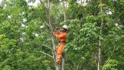 Lịch cúp điện Quảng Ngãi hôm nay ngày 28/10/2025