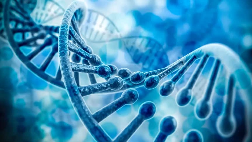 Xác định thành công tuổi người chỉ dựa trên mẫu ADN