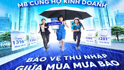 Bảo vệ nguồn thu nhập mùa bão với MB Bank và Bảo hiểm MIC