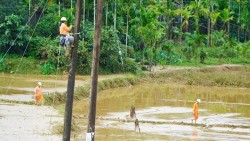 Lịch cúp điện Quảng Ngãi hôm nay ngày 4/11/2025