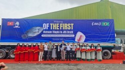 Mở đường cho 'kho báu dưới nước' của Việt Nam vào Brazil