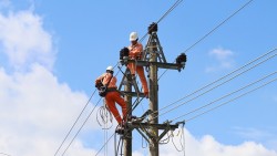 Lịch cúp điện Quảng Ngãi hôm nay ngày 12/11/2025