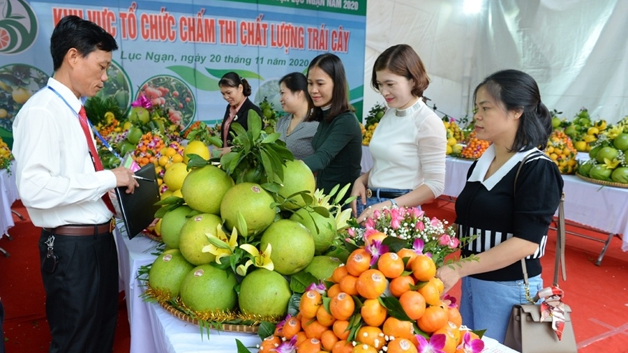 Sắp diễn ra Lễ hội trái cây Bắc Ninh 2025