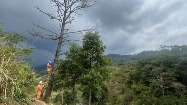 Lịch cúp điện Quảng Ngãi hôm nay ngày 17/11/2025