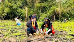 Giá trị văn hóa là nguồn lực nội sinh giúp Quảng Ninh phát triển nhanh, bền vững