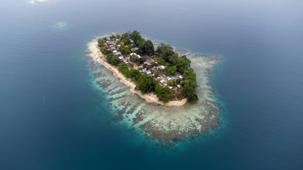 Australia từ bỏ quyền đăng cai COP31 vào tay Thổ Nhĩ Kỳ, Papua New Guinea không vui