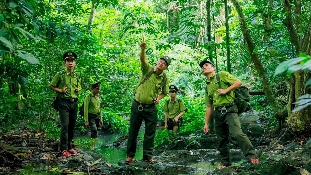 Chi cục Kiểm lâm tỉnh Đắk Lắk: Phát huy vai trò nòng cốt trong sự nghiệp bảo vệ rừng
