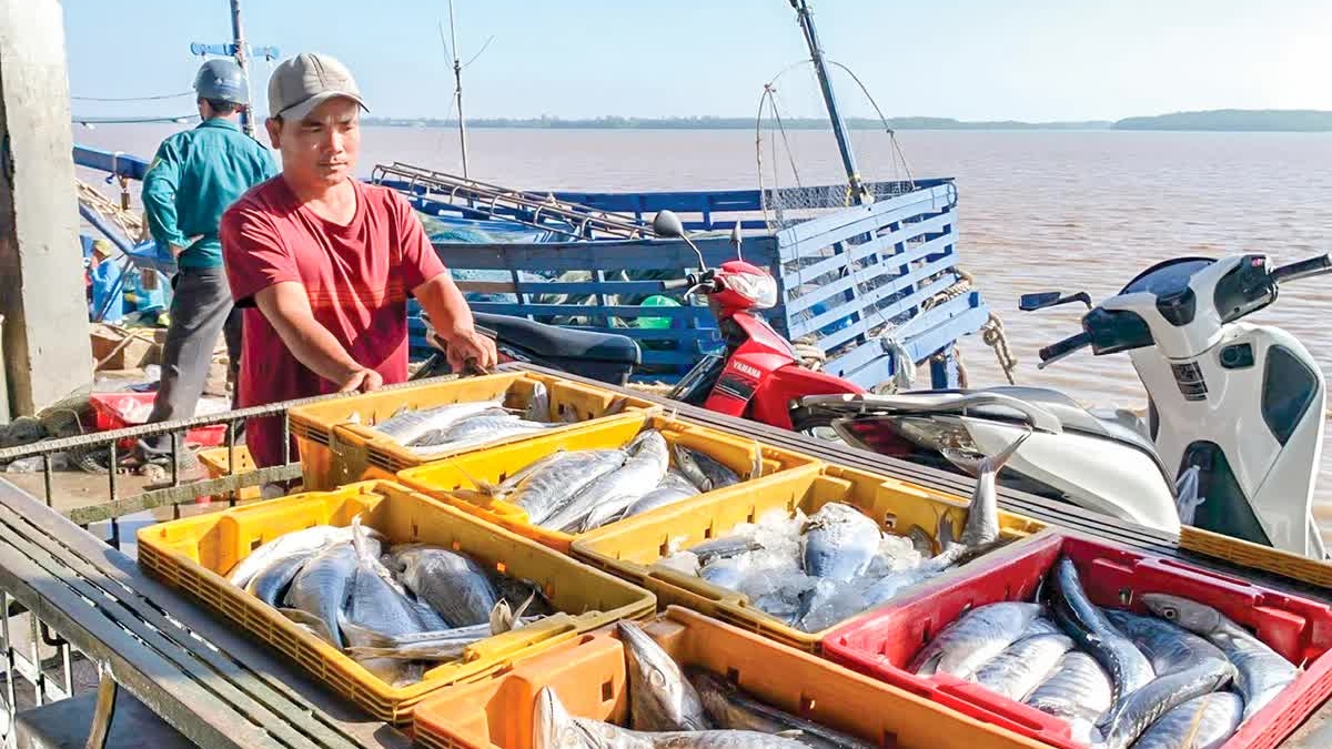 Cảng Trần Đề: 'Hạt nhân' trong chiến lược trở thành trung tâm kinh tế biển đa ngành của Cần Thơ